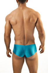 Joe Snyder Wangenboxer